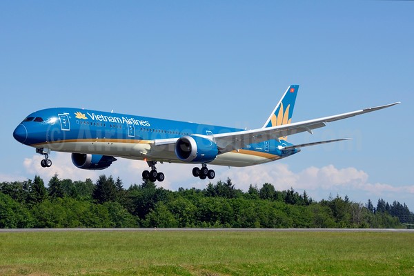 Vietnam Airlines’ Boeing 787-9 Dreamliner flying over Paris Air show - ảnh 1